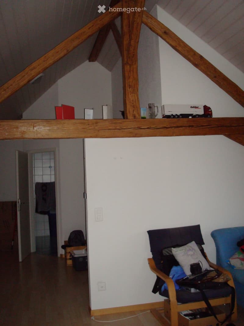 2 1/2 Zimmer-Dachwohnung auf dem Land in Waldnähe (3)