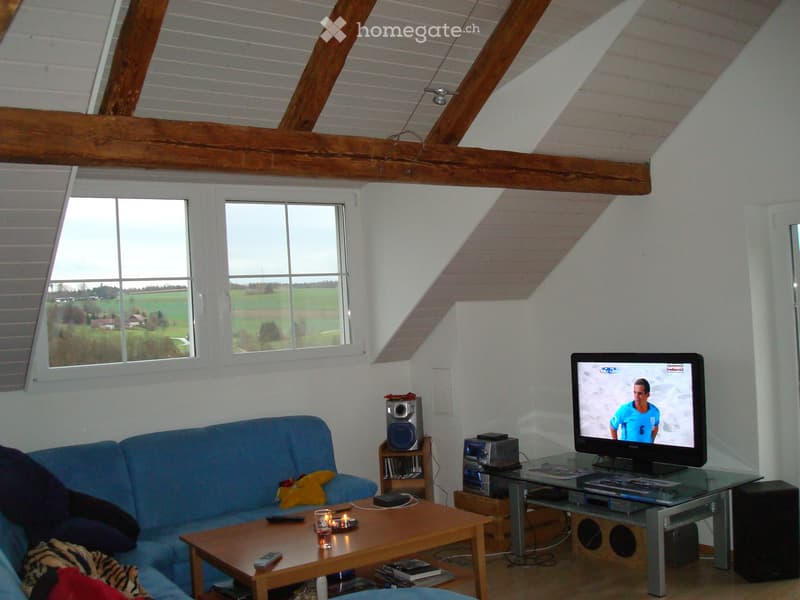 2 1/2 Zimmer-Dachwohnung auf dem Land in Waldnähe (5)
