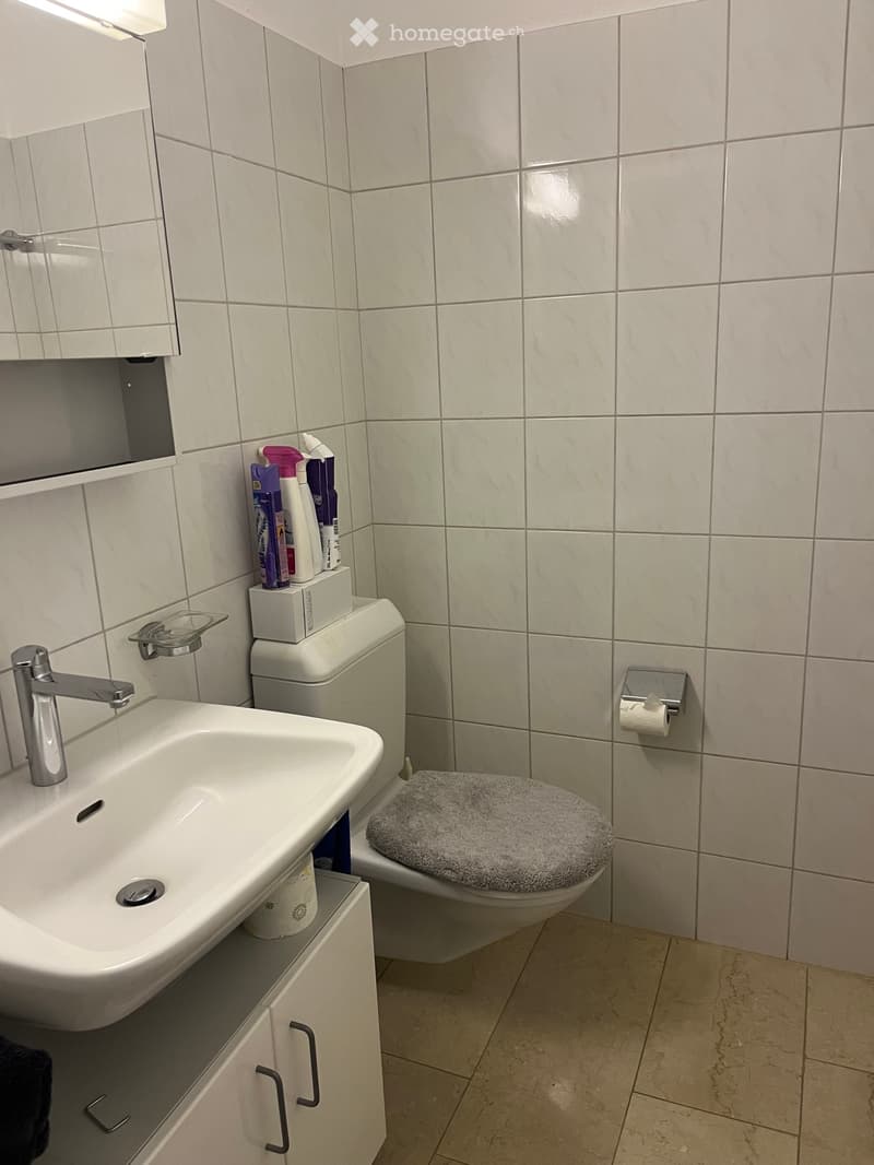 Steuergünstige Wohnung in der Gemeinde Bäch (2)