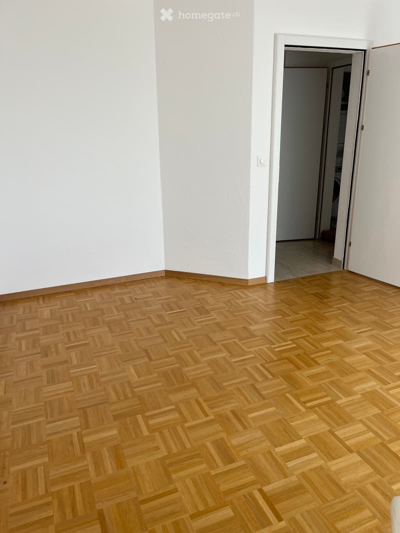 Steuergünstige Wohnung in der Gemeinde Bäch (4)