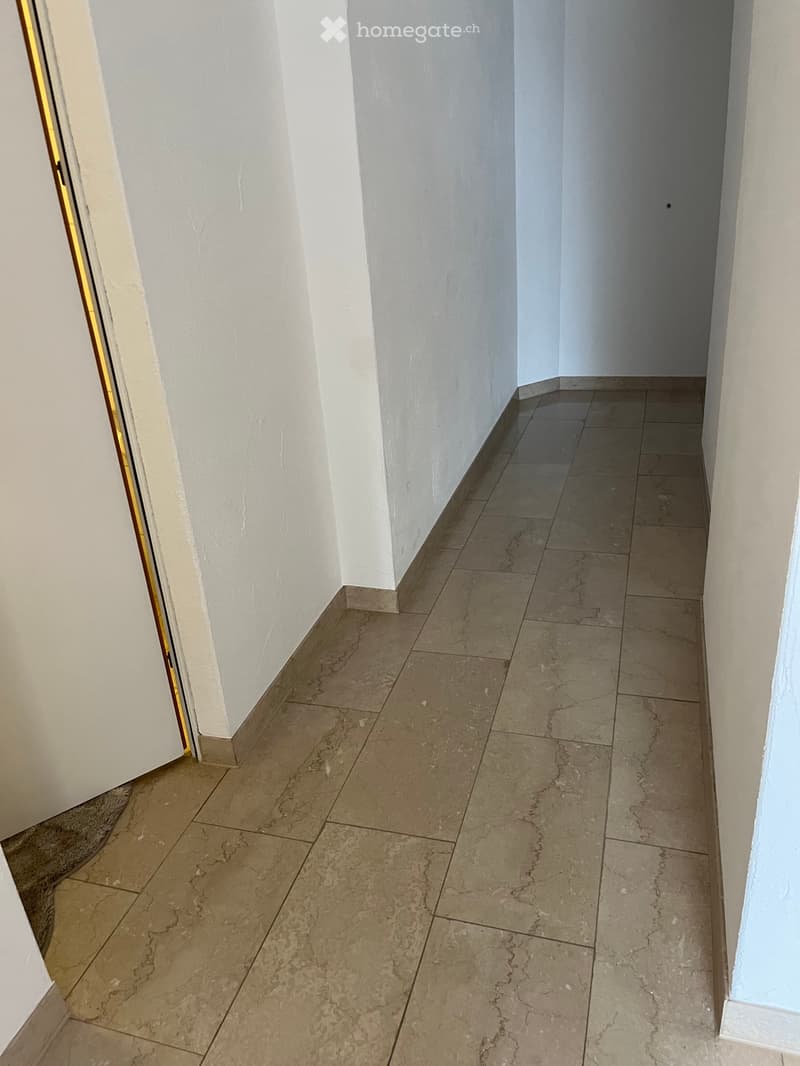 Steuergünstige Wohnung in der Gemeinde Bäch (3)