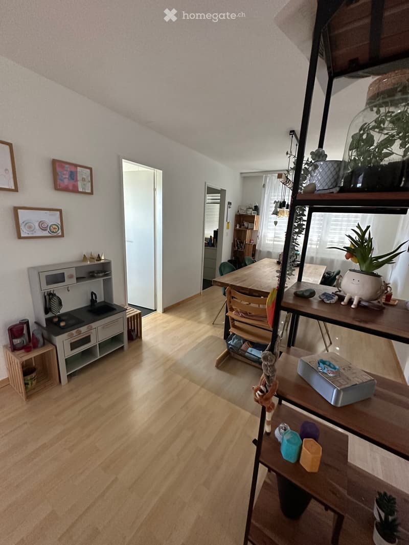 Grosszügige 4.5 Zi-Wohnung mit grosser Dachterasse (3)