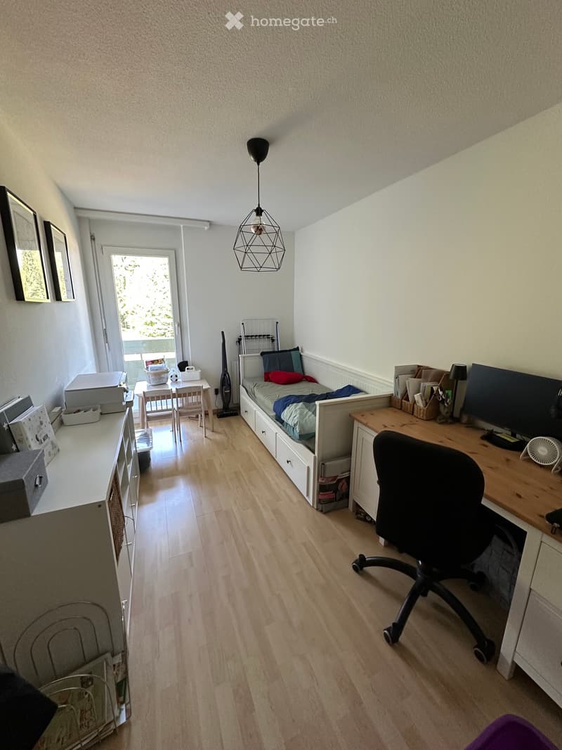 Grosszügige 4.5 Zi-Wohnung mit grosser Dachterasse (5)