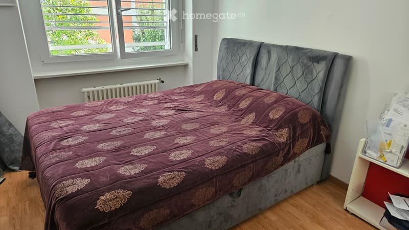 Appartamento 3.5 locali e mezzo  a massagno  a 1 mese gratis (2)