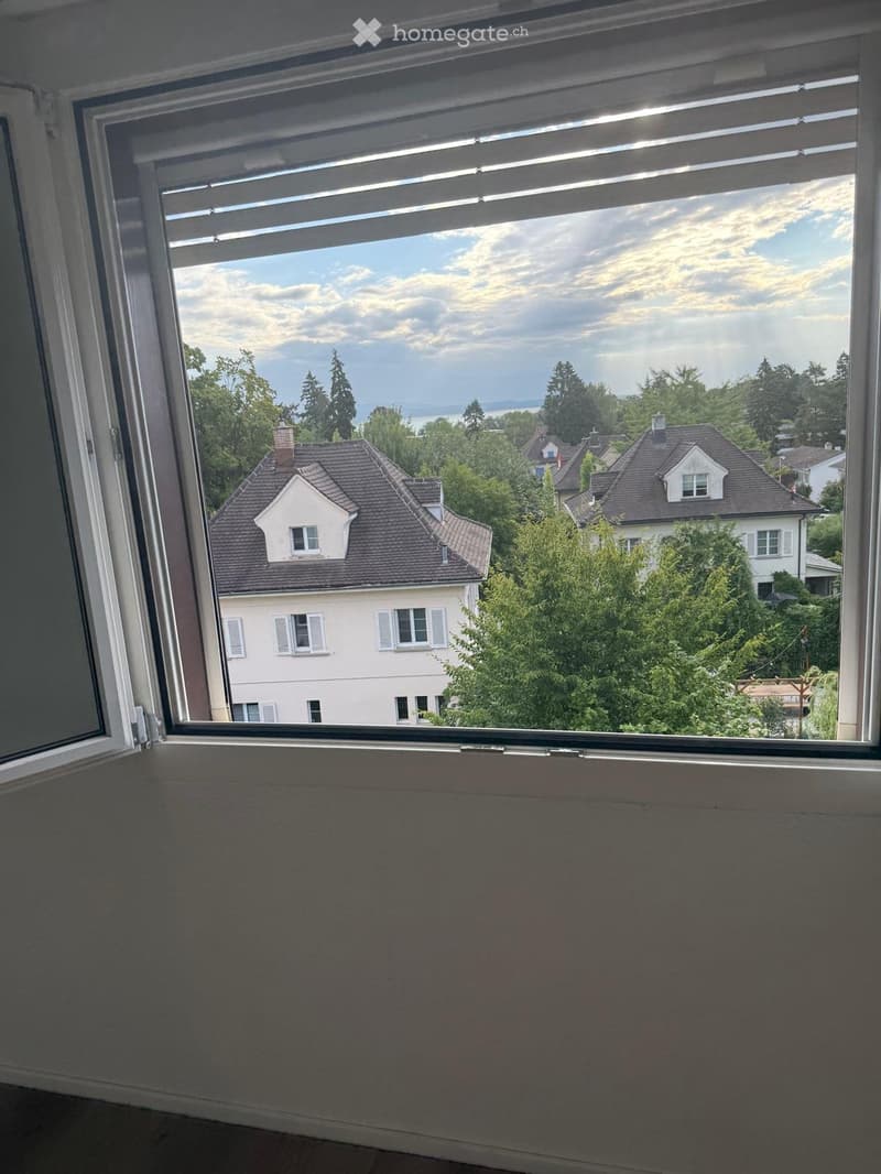 Seeblick: 3-Zimmer-Wohnung im Altbau am Boulevard - SOFORT (1)