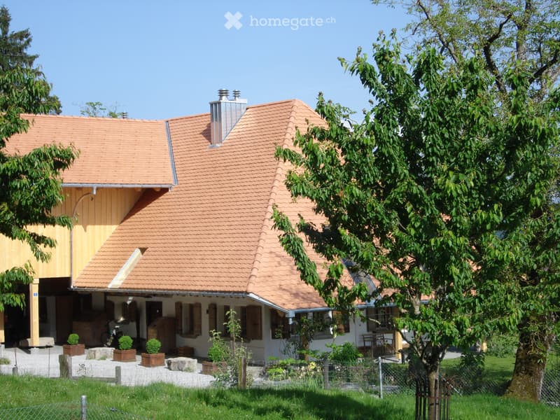Adlerhorst am Waldrand - für Zweiergespann (5)