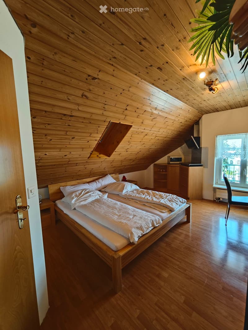 1 Zimmer-Studio möbliert (1)