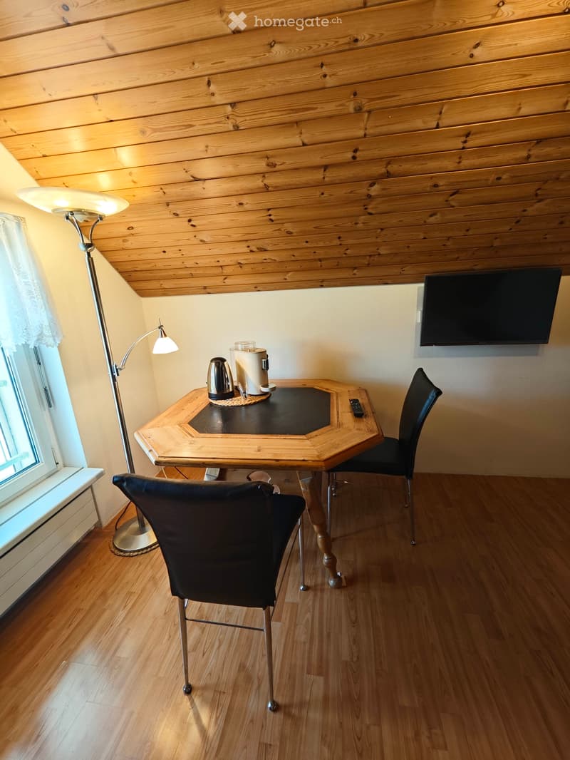 1 Zimmer-Studio möbliert (2)