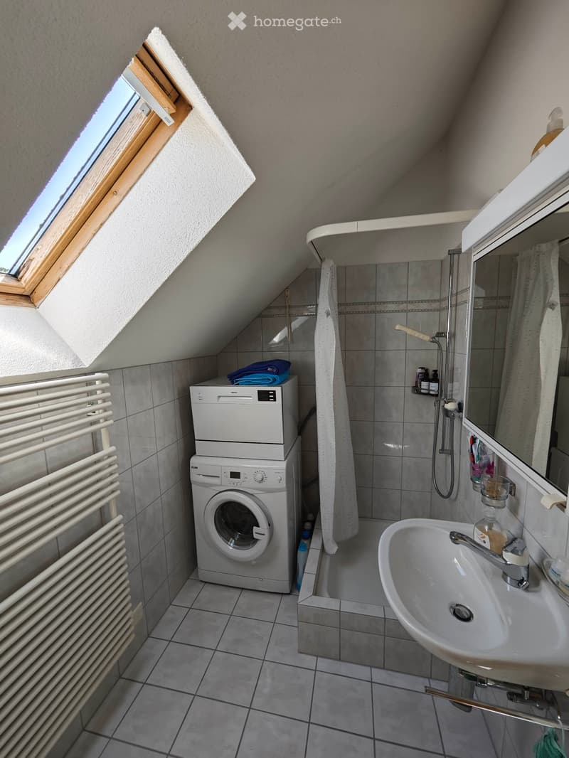 1 Zimmer-Studio möbliert (3)