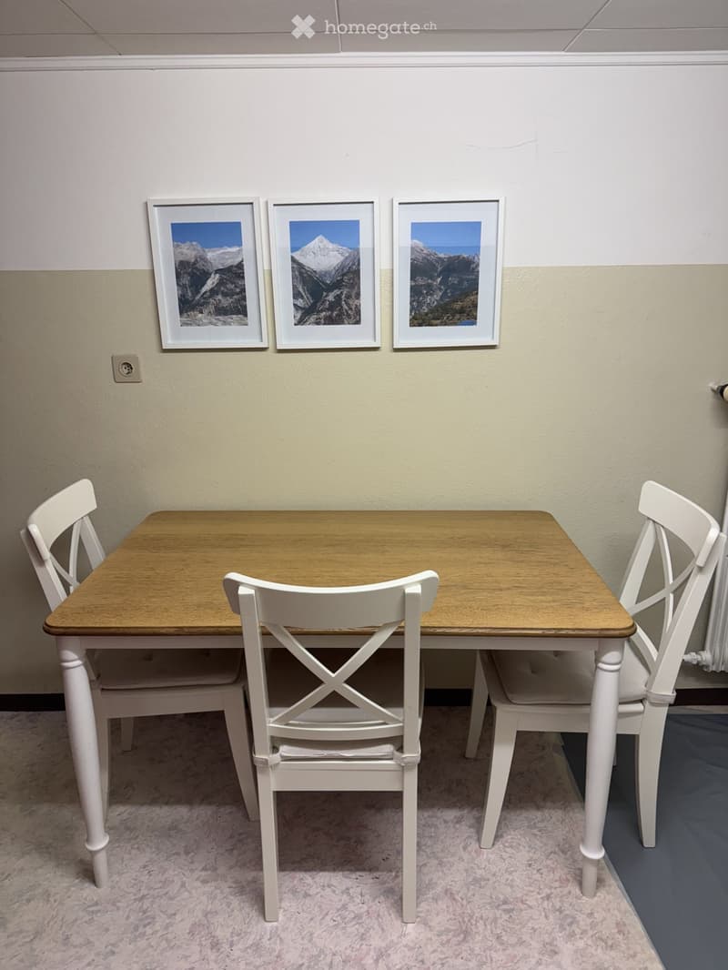 Möbilierte 3.5 Zr Wohnung mit 2 Nebenräumen (4)