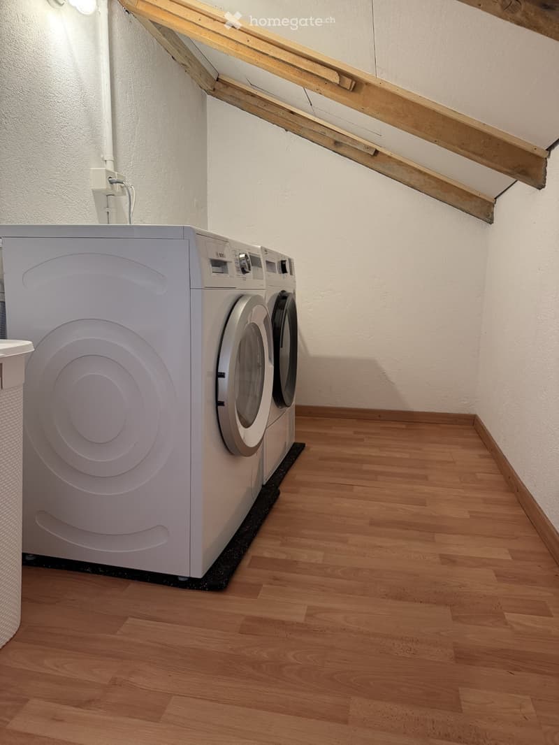 Möbilierte 3.5 Zr Wohnung mit 2 Nebenräumen (5)