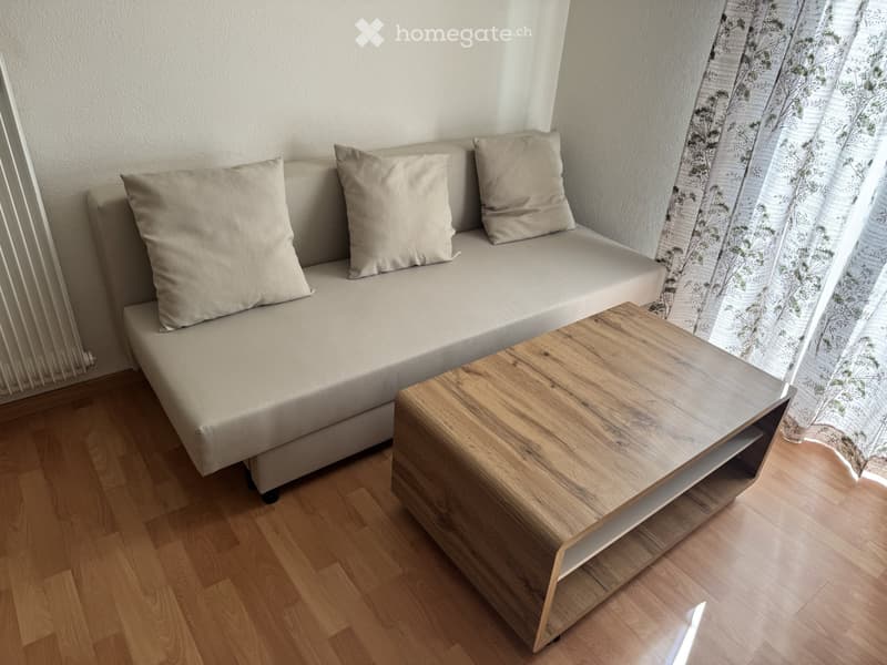 Möbilierte 3.5 Zr Wohnung mit 2 Nebenräumen (2)