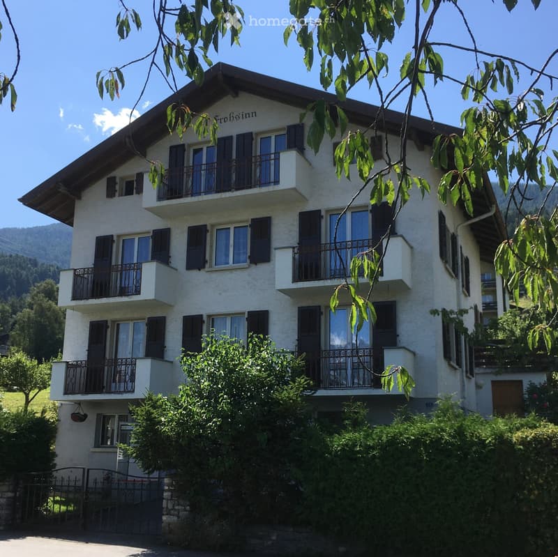 Möbilierte 3.5 Zr Wohnung mit 2 Nebenräumen (1)