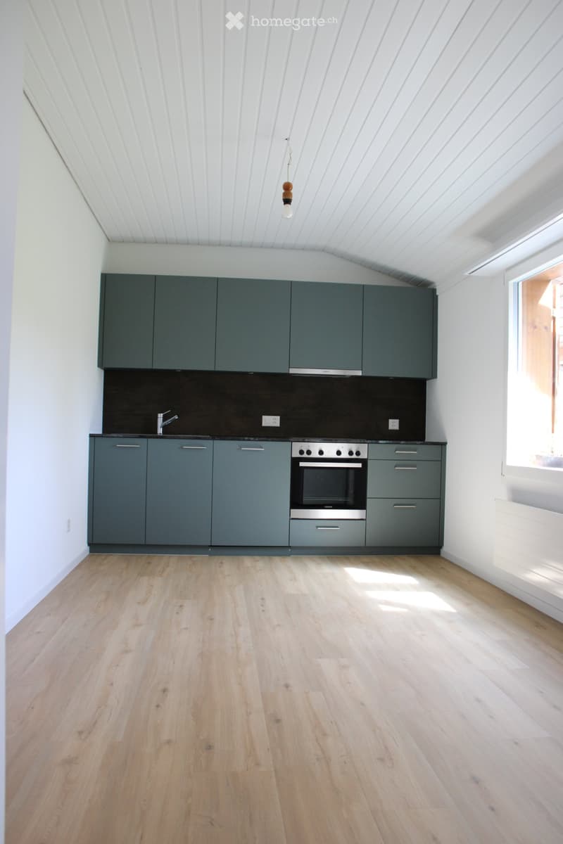 frisch renovierte Wohnung im Grünen (1)