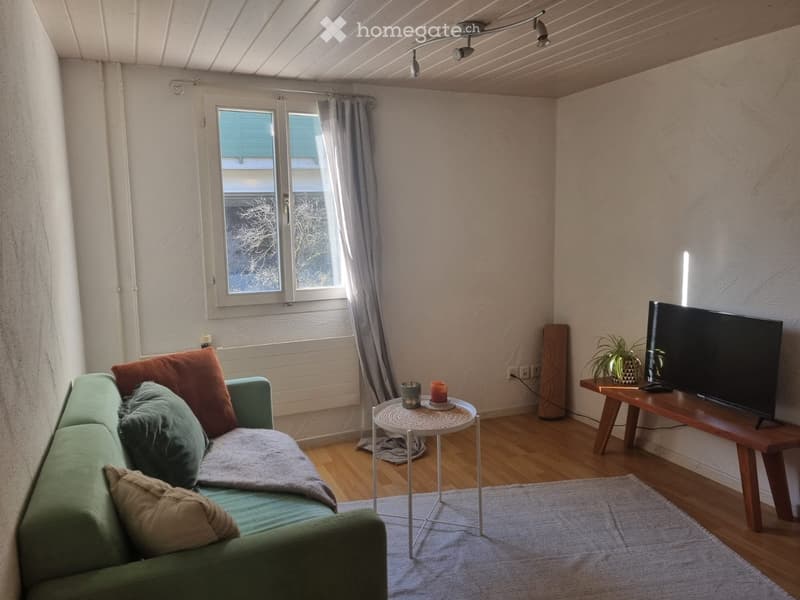Gemütliche, offene 2-Zimmer-Altbauwohnung mit Balkon (3)