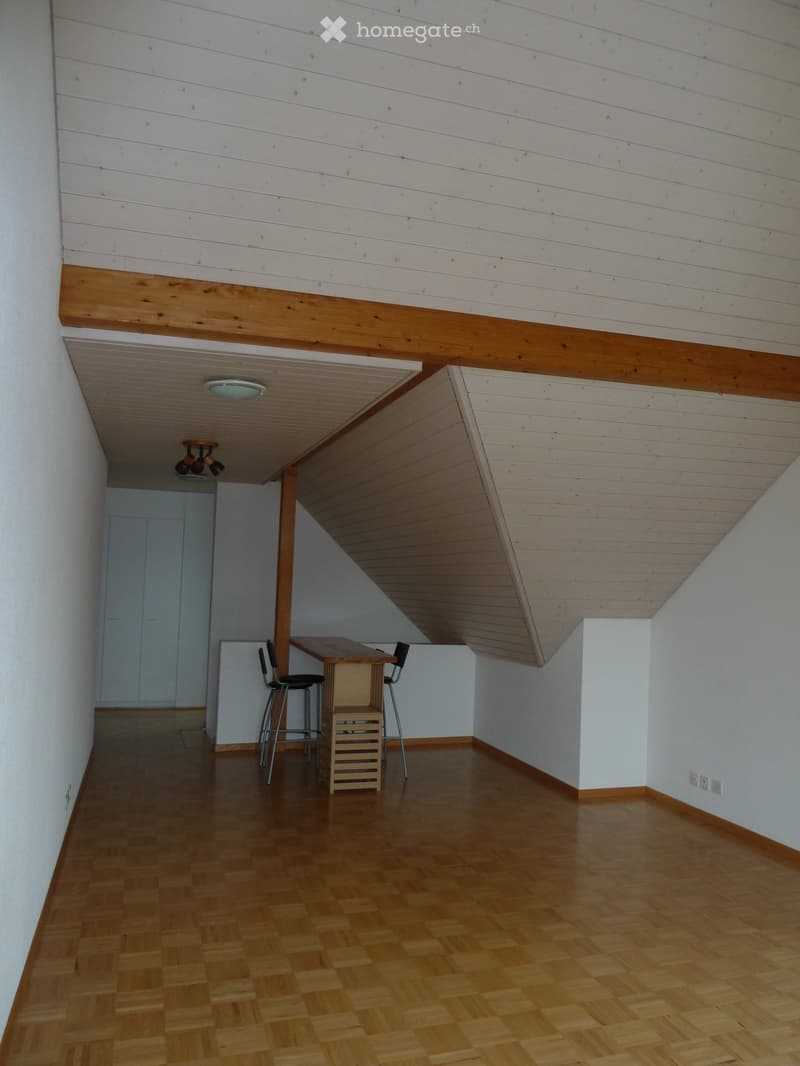 Originelle 2.5 Zi Maisonette Dachwohnung (2)