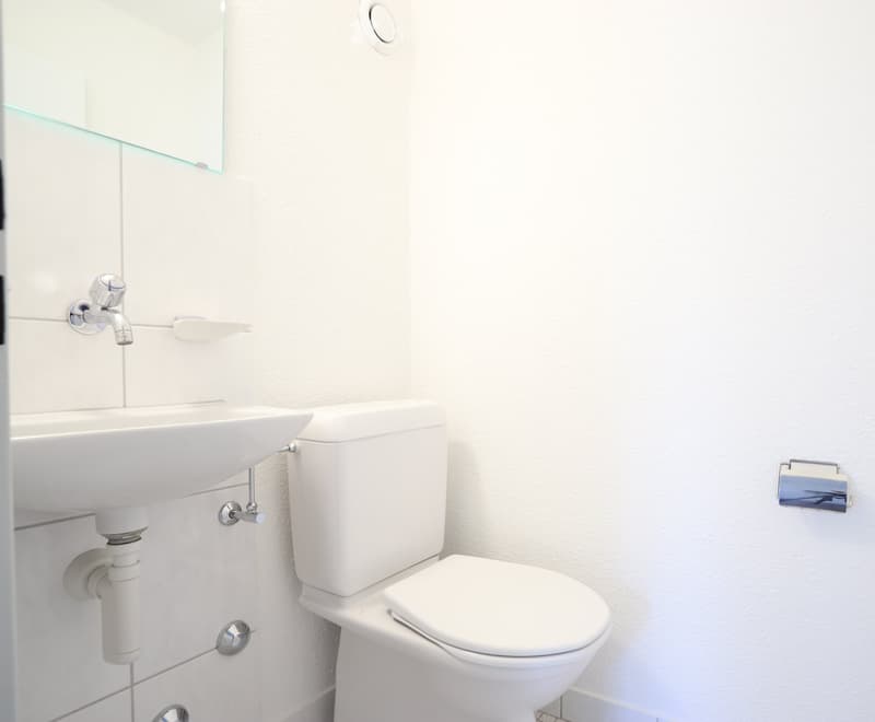 Lichtdurchflutete 4.5 Zimmer Familienwohnung an ruhiger Lage (3)