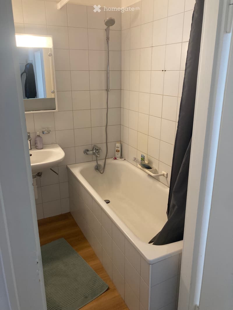 3-Zimmer Wohnung (3)