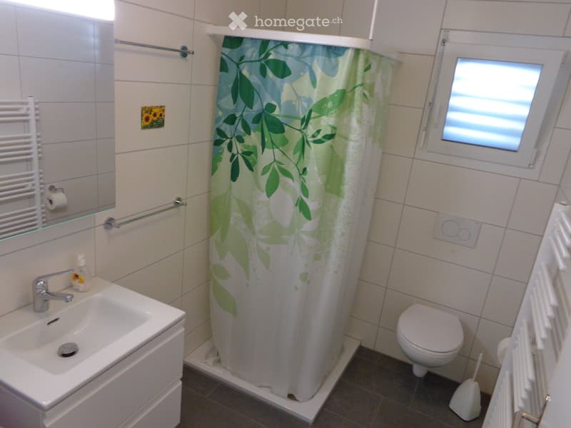 Zimmer zu vermieten (5)