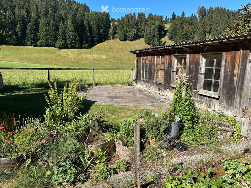 3 1/2 Zimmer Wohnung zu vermieten (5)