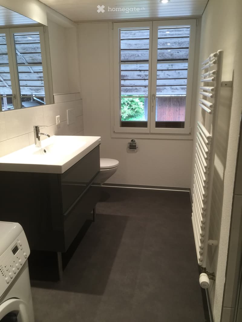 3 1/2 Zimmer Wohnung zu vermieten (4)