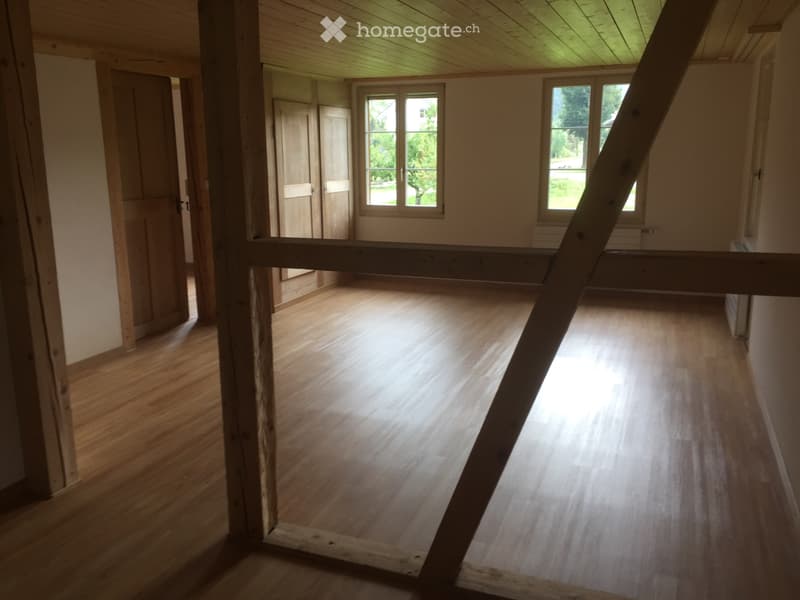 3 1/2 Zimmer Wohnung zu vermieten (2)