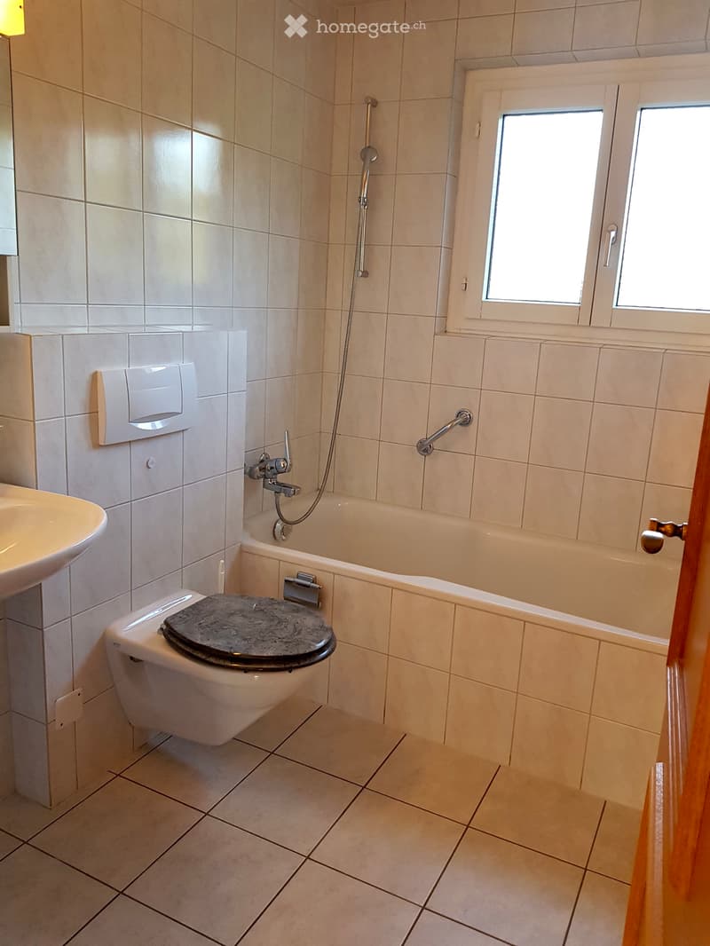 Helle 4 ½ Zimmer Wohnung im Grünen (4)