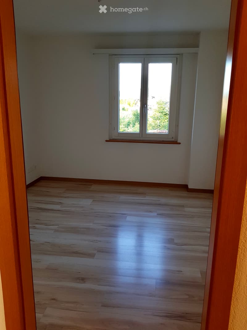 Helle 4 ½ Zimmer Wohnung im Grünen (2)