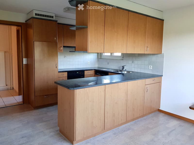 Helle 4 ½ Zimmer Wohnung im Grünen (3)