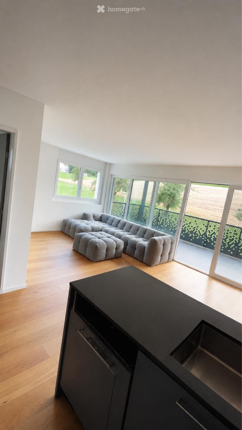 Moderne 3,5 Zimmer Wohnung in Seenähe (1)