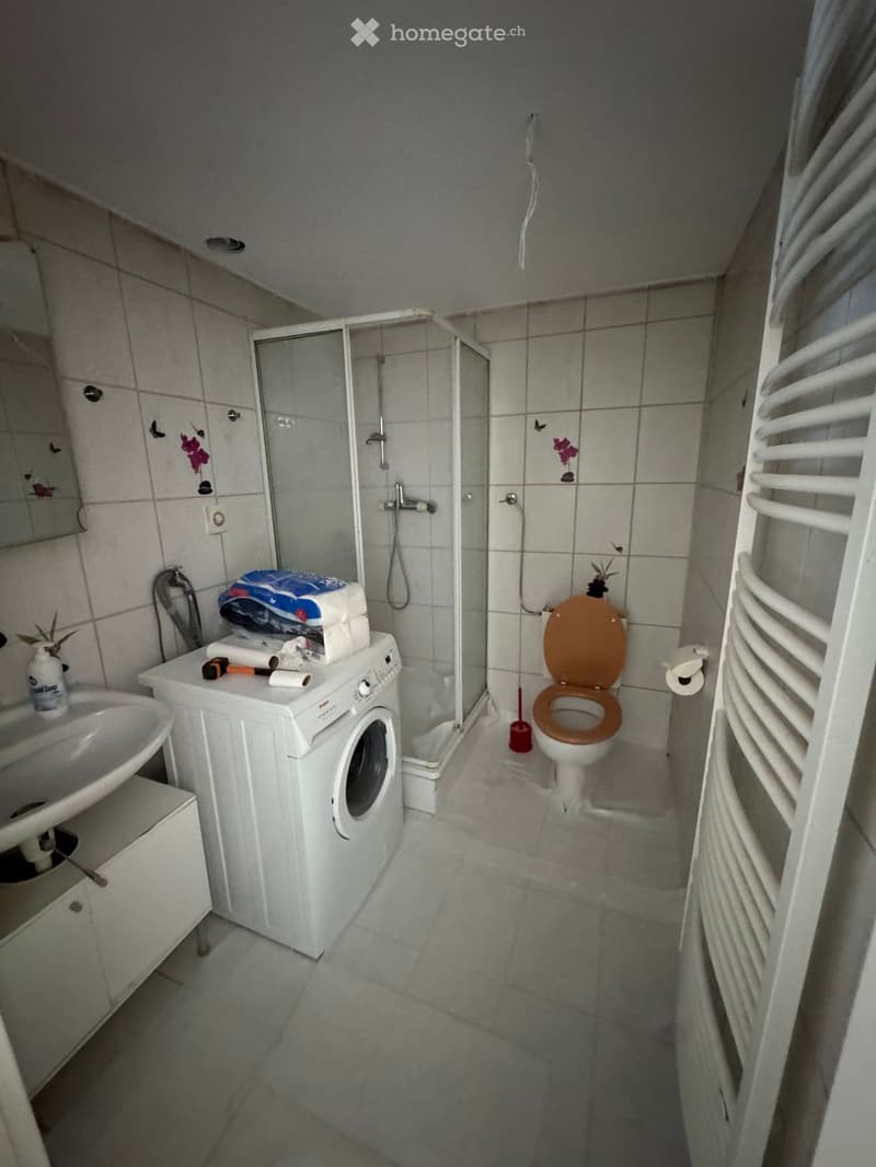 frisch renovierte Wohnung/ appartement fraîchement rénové (4)