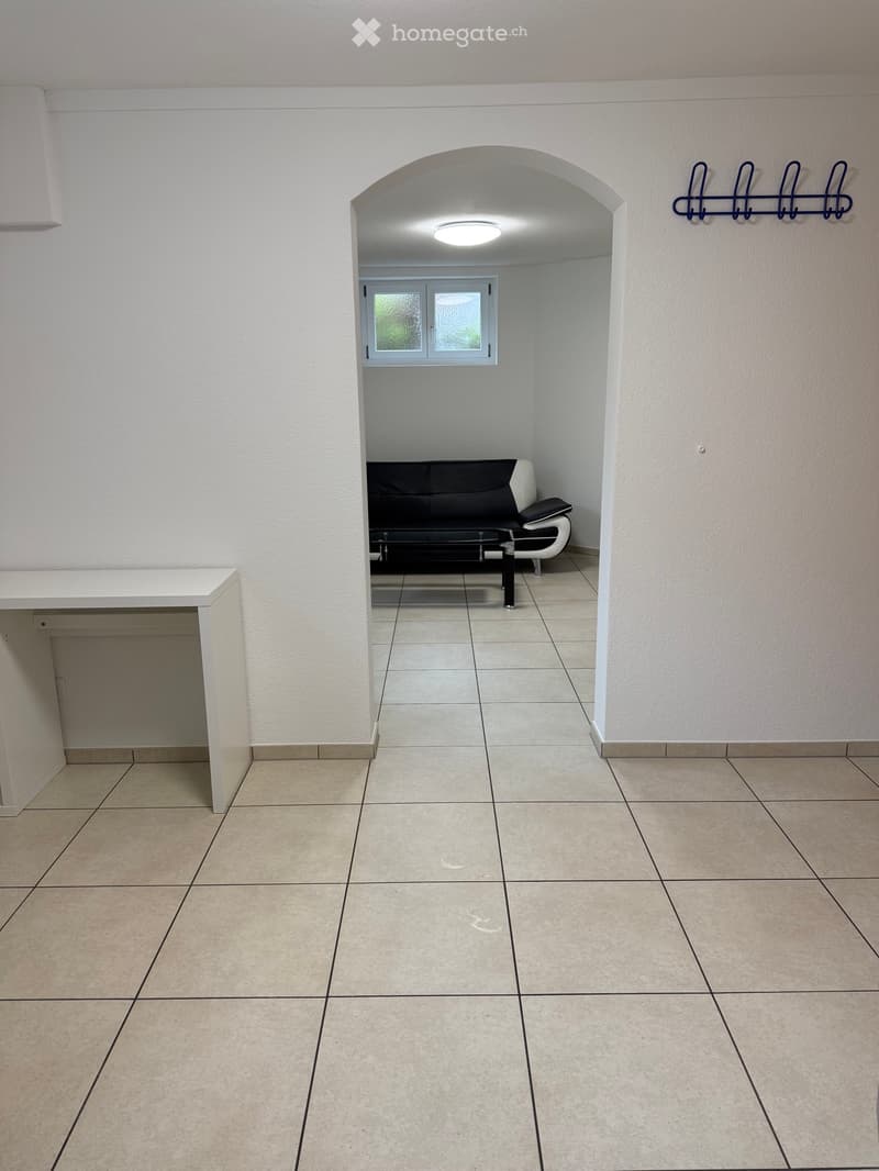 1.5-Zimmer-Tiefparterrewohnung in Luzern (5)