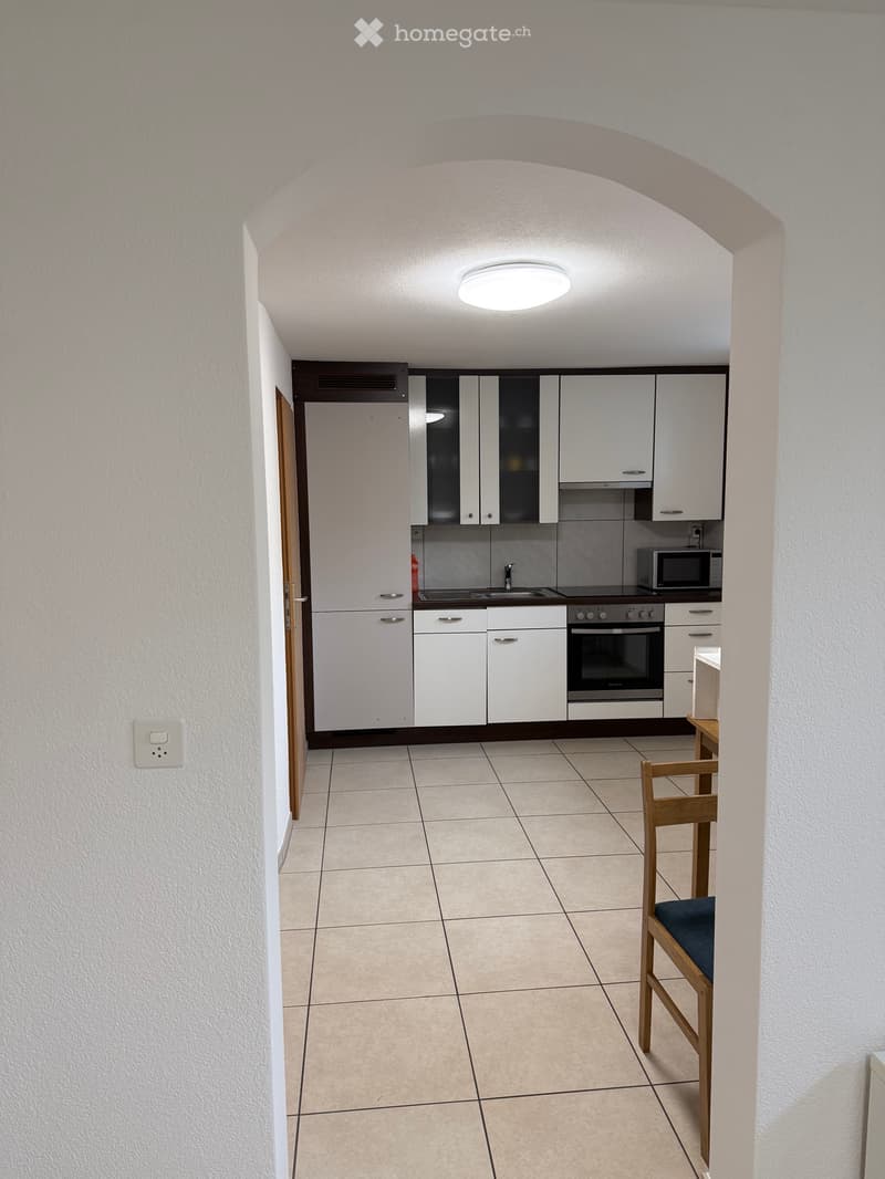 1.5-Zimmer-Tiefparterrewohnung in Luzern (2)