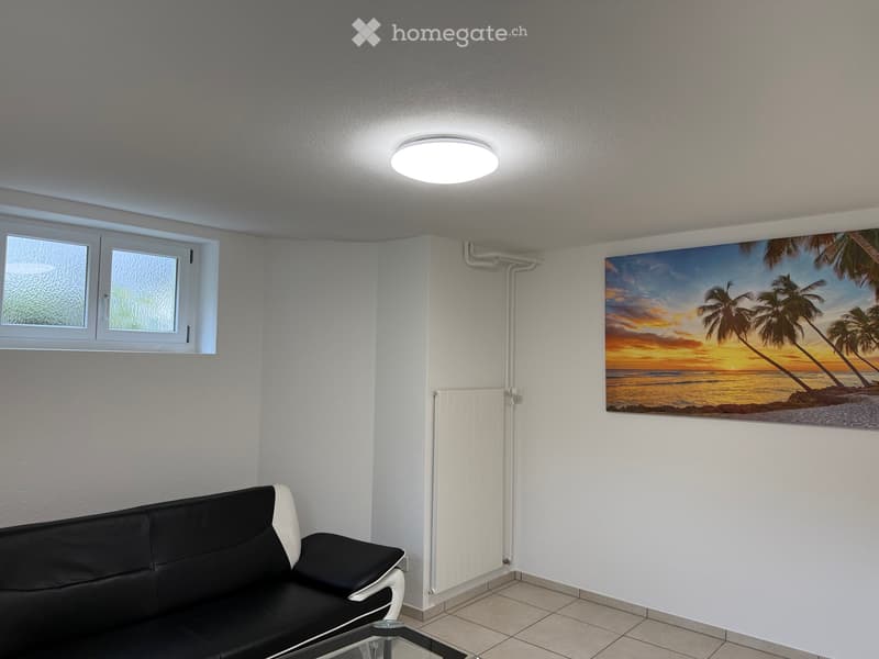 1.5-Zimmer-Tiefparterrewohnung in Luzern (4)