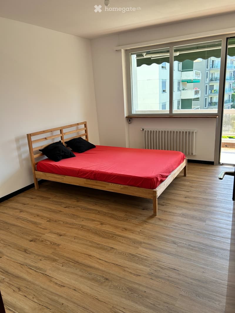Bilocale con ampio terrazzo e servizi esclusivi (3)