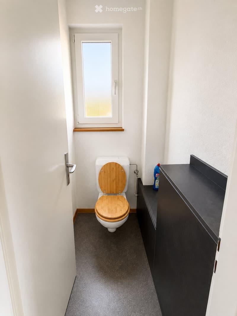 Geräumige 6.5-Zimmer-Wohnung in Malters sofort verfügbar! (4)