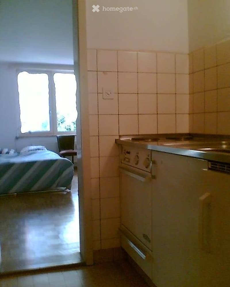 Basel 1-Zimmer Wohnung (2)