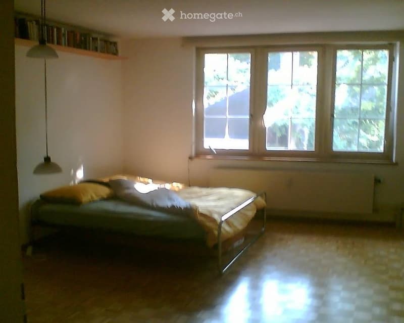 Basel 1-Zimmer Wohnung (1)