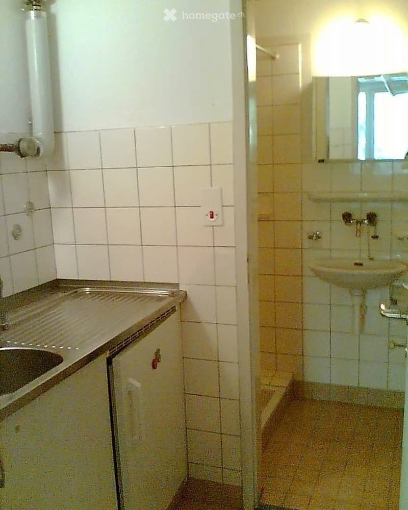 Basel 1-Zimmer Wohnung (4)