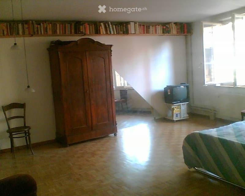 Basel 1-Zimmer Wohnung (3)