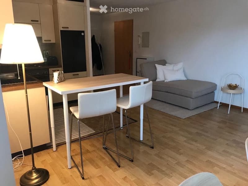 Schöne 2,5-Zimmer-Wohnung zu vermieten (4)