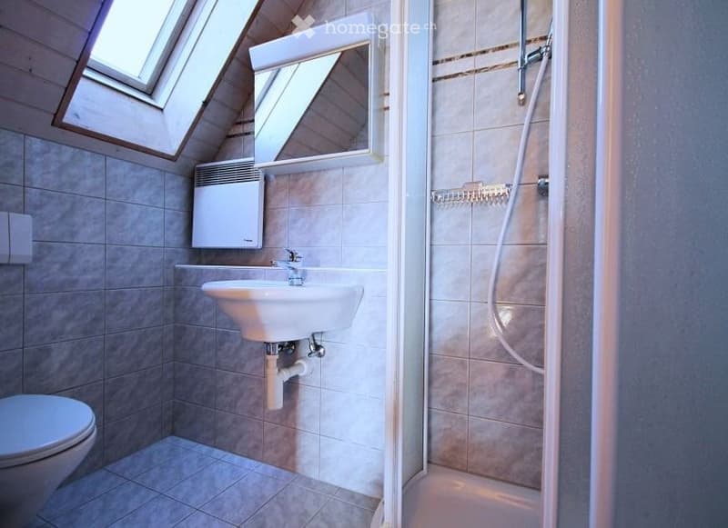 3-Zimmer Dachwohnung (5)