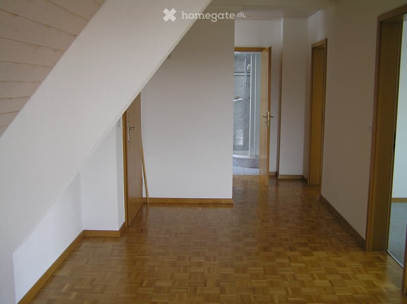 3-Zimmer Dachwohnung (1)