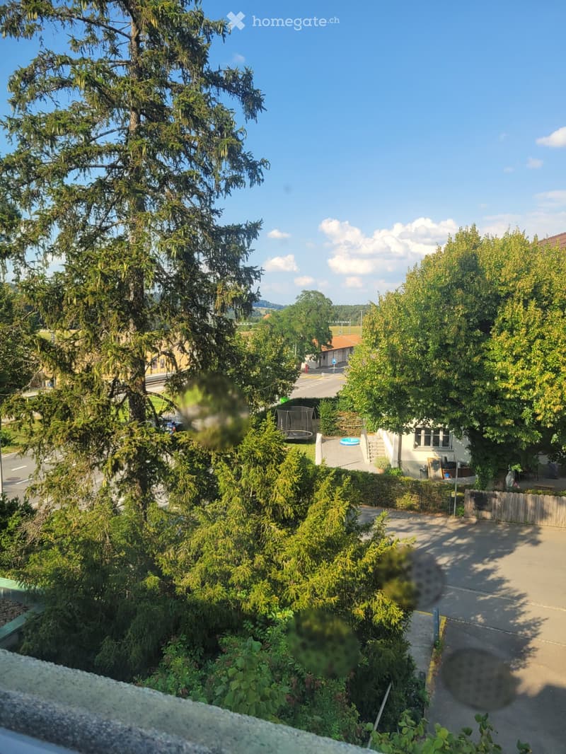 Sonnige Dachwohnung mit Chemine in Mittelhäusern (5)