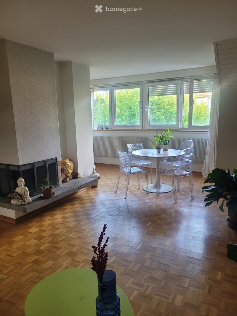 Sonnige Dachwohnung mit Chemine in Mittelhäusern (2)