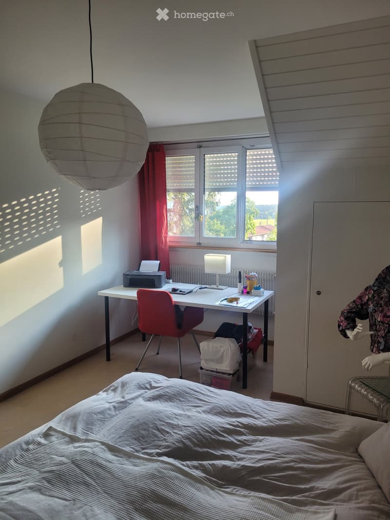 Sonnige Dachwohnung mit Chemine in Mittelhäusern (3)