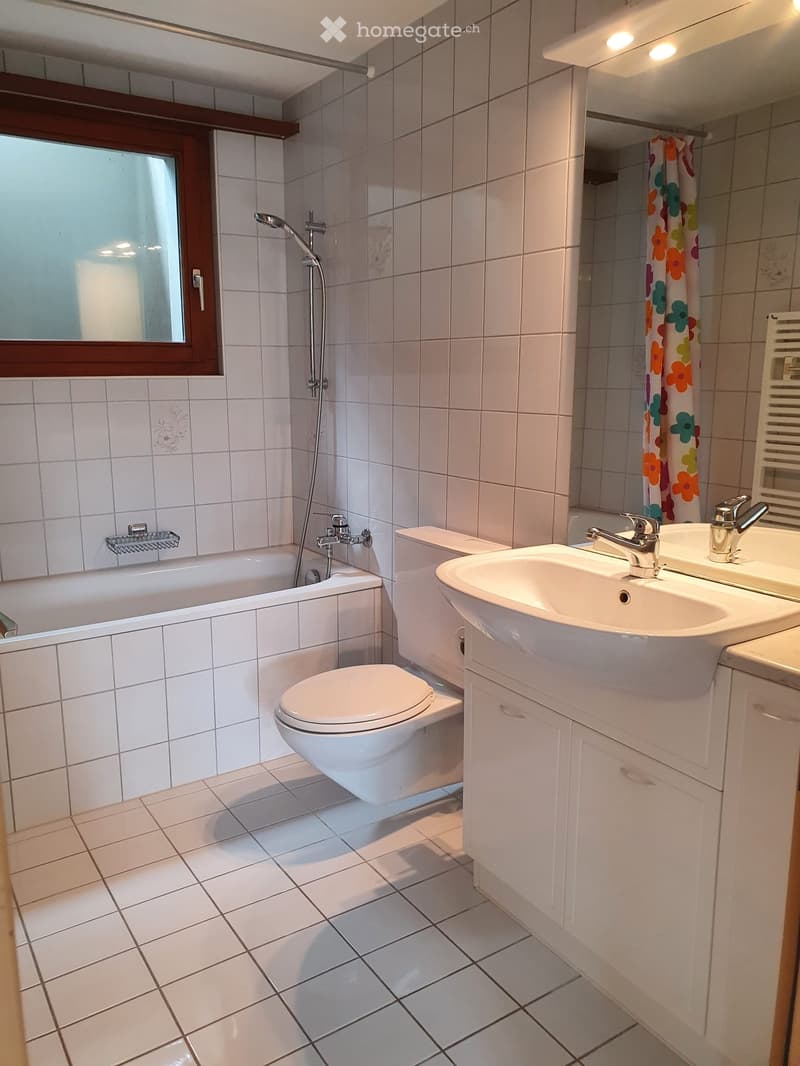 1.5 - Zimmer Einliegerwohnung in Othmarsingen (2)