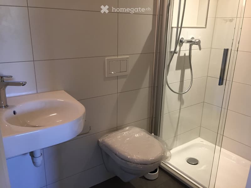 Charmante 1-Zimmer-Wohnung im Grünen (5)