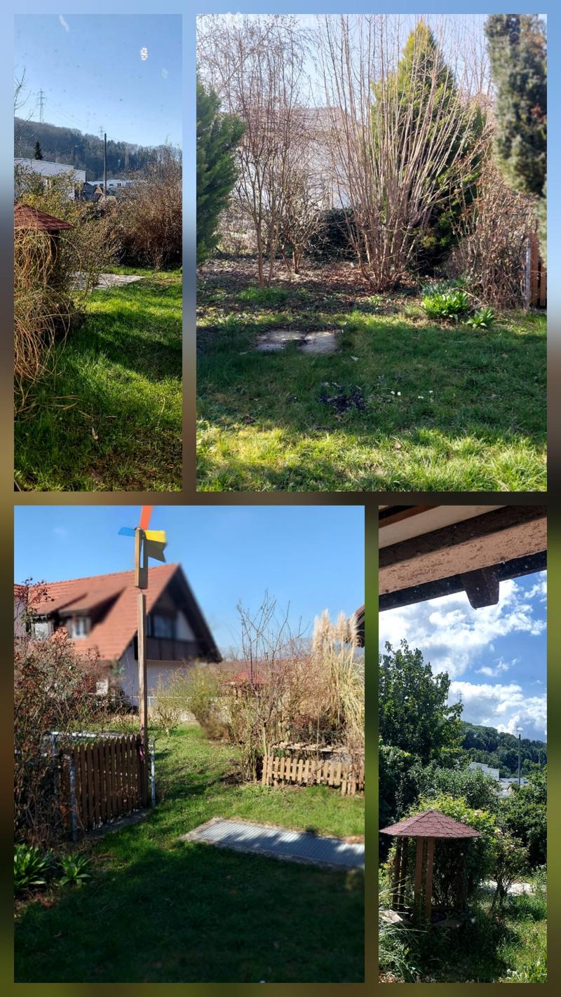 Gartenwohnung mit 350 m² Privatgarten im Herzen von Mumpf (1)