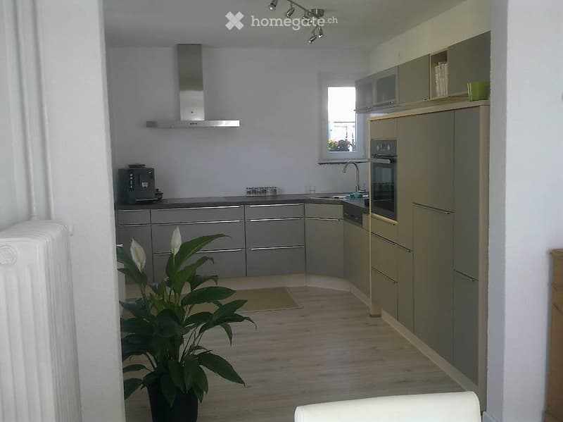 Grosszügige, helle 2.5 Zimmerwohnung mit grosser Terrasse (5)